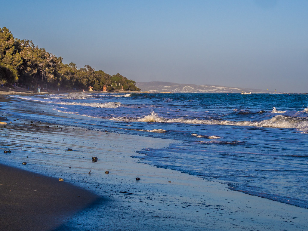 Dasoudi Beach Limassol — eucalyptus-shaded shoreline perfect for families