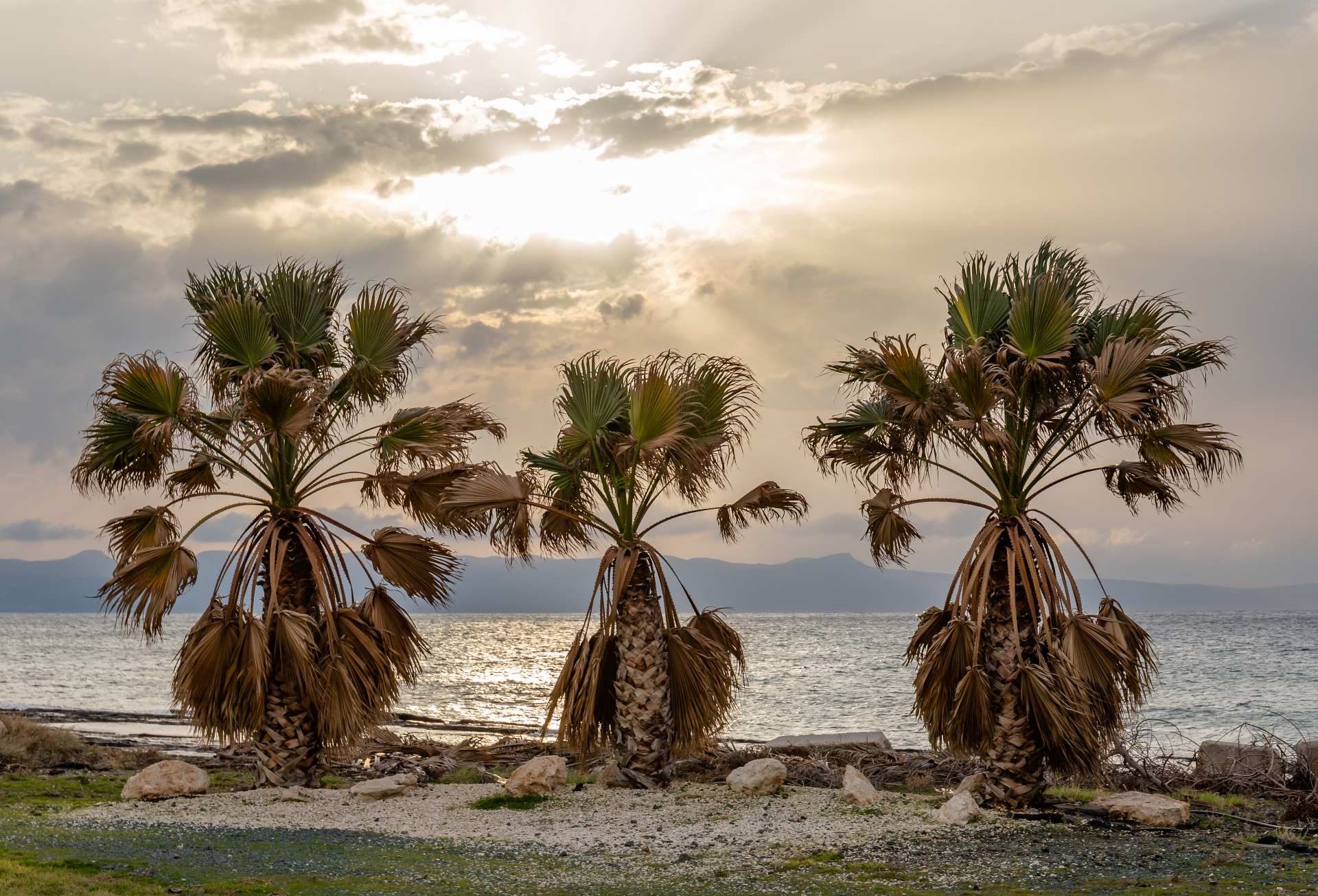 How to Maximize Your Off-Season Rental Income in Cyprus